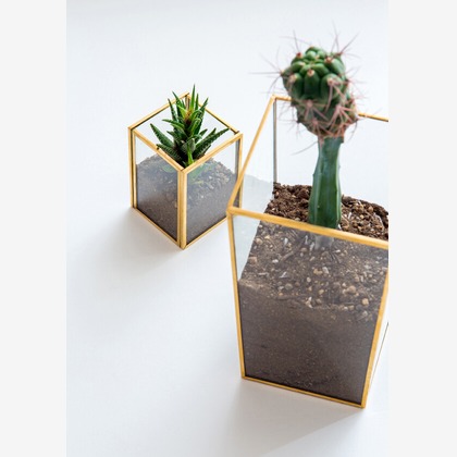 Yoppegraphy Photographic Serviceが撮影した「:albumName」の写真