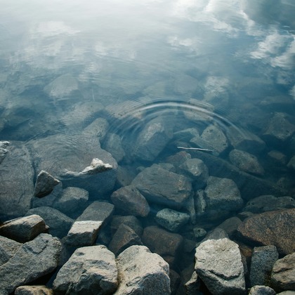 ちからが撮影した「:albumName」の写真