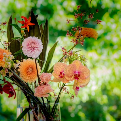 スタジオファンタスが撮影した「:albumName」の写真