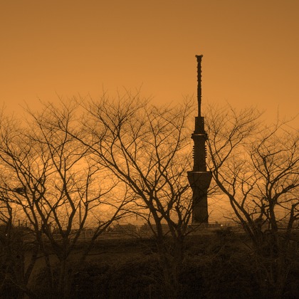 有光こうじ写真事務所が撮影した「:albumName」の写真