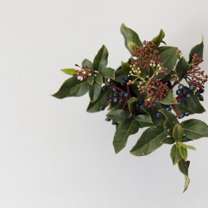 Natsukiが撮影した商品/物撮りの写真