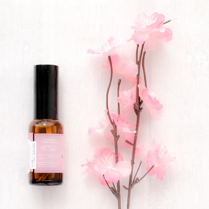 なかがわさとみが撮影した「:albumName」の写真