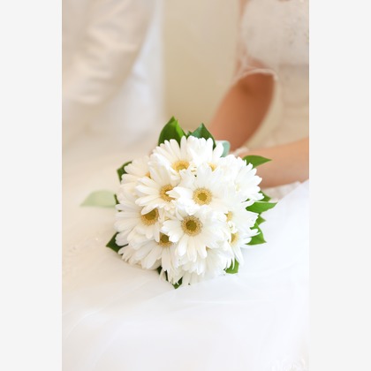 Photo of :albumName taken by SATOMI NAKAGAWA