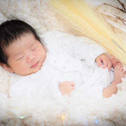 StudioMOSOが撮影した「:albumName」の写真