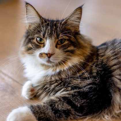 沖山俊樹が撮影した「:albumName」の写真