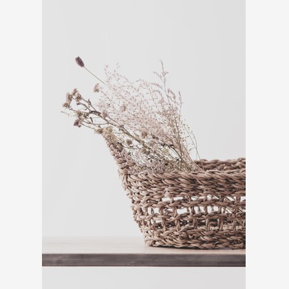 Yoppegraphy Photographic Serviceが撮影した「:albumName」の写真