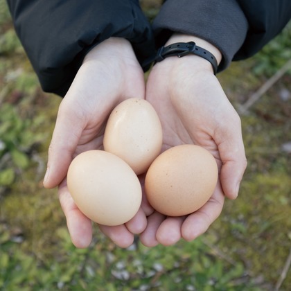 SHO HASEGAWAが撮影したその他/人物撮影の写真