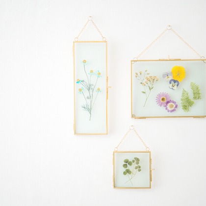 Yoppegraphy Photographic Serviceが撮影した「:albumName」の写真