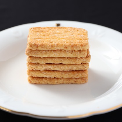 手塚大介が撮影した「:albumName」の写真