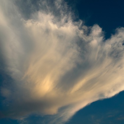 難波卓美が撮影した「:albumName」の写真