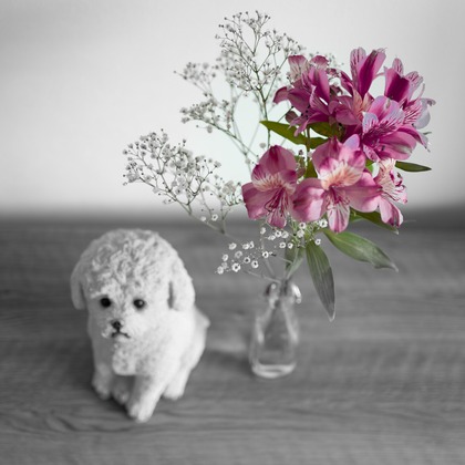 尾崎健太郎が撮影した店舗/オフィス/サロン撮影の写真