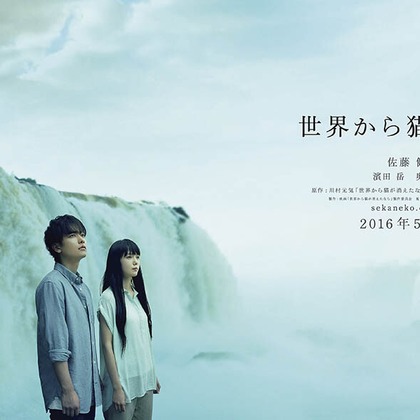 （有）プロヴィデンスが撮影したウェディングや家族、ビジネスの写真