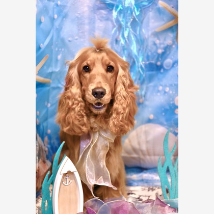 TSD officeが撮影した「:albumName」の写真