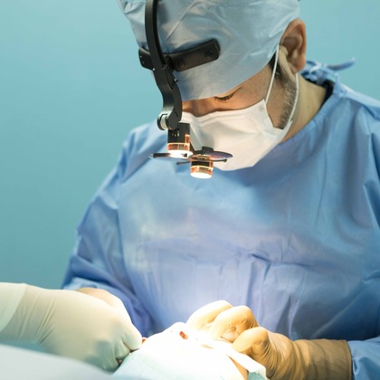 田中真光写真事務所が撮影した「:albumName」の写真