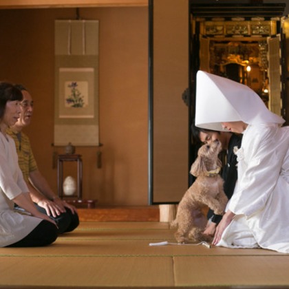 Photo of wedding photo taken by PURE ARTIS