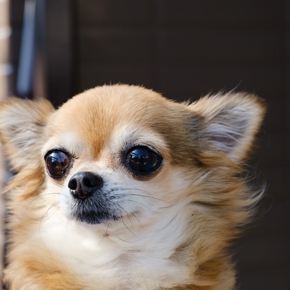 高夏写真店が撮影した人物撮影の写真