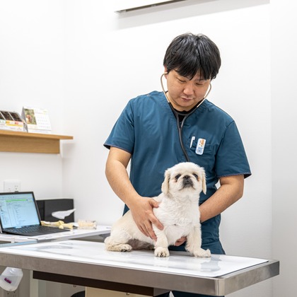 吉田佳央が撮影した「:albumName」の写真