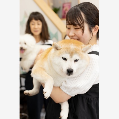 Yuichiが撮影した「:albumName」の写真