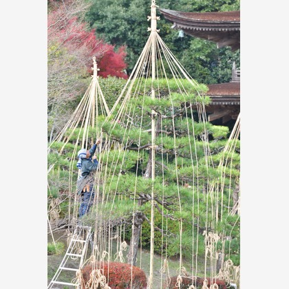 ライトステージが撮影したその他/店舗/オフィス/サロン撮影/イベント/スナップ撮影/商品/物撮りの写真