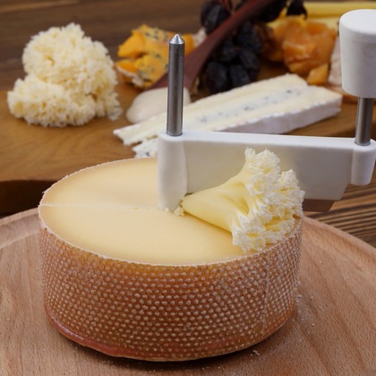 森安　照が撮影したウェディングや家族、ビジネスの写真