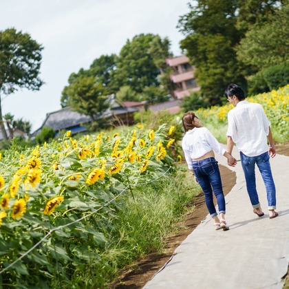 アトリエ　エピカ/清水　一哉が出張撮影した植物, 感情, 顕花植物などが写った「ひまわり畑　マタニティ」の家族写真