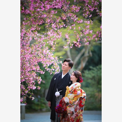 Photo of :albumName taken by 出張撮影　FotoMatograph　間藤　恒