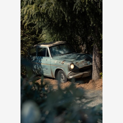 中田凌太郎が撮影したイベント/スナップ撮影の写真