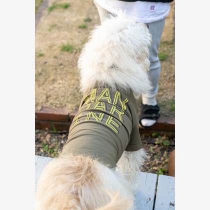 吉田佳央が撮影した「DOG SHOOTING」の写真