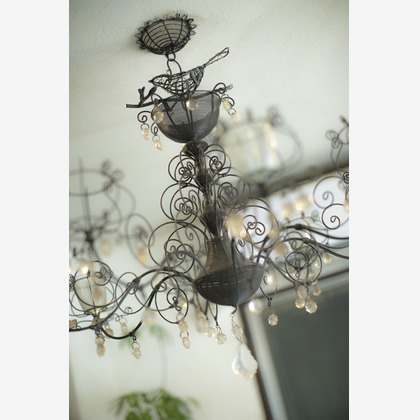 布川航太が撮影した「:albumName」の写真