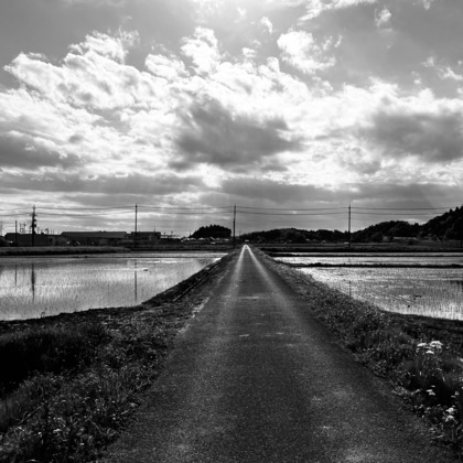 福井麻里が撮影した「:albumName」の写真