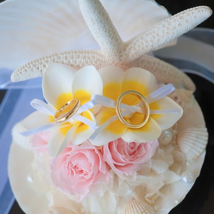 Photo of :albumName taken by éclat photography