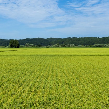 鶴巻直満(T-PHOTO OFFICE)が撮影した「:albumName」の写真