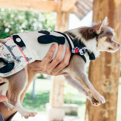 ポートレート沖縄が撮影した「:albumName」の写真