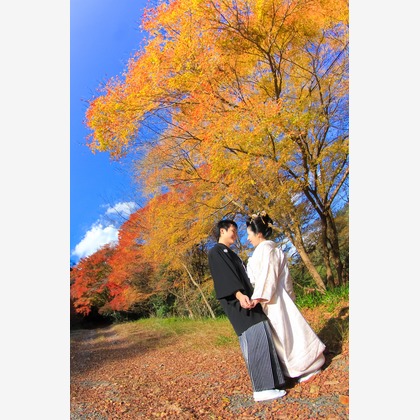 Photo of :albumName taken by Smilehunter