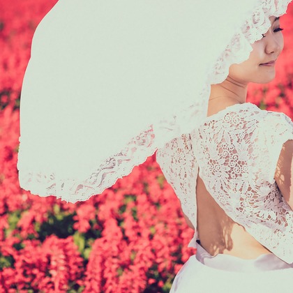 Location Photo Shoot Photos taken by APK