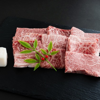 渡辺写真事務所が撮影した「:albumName」の写真