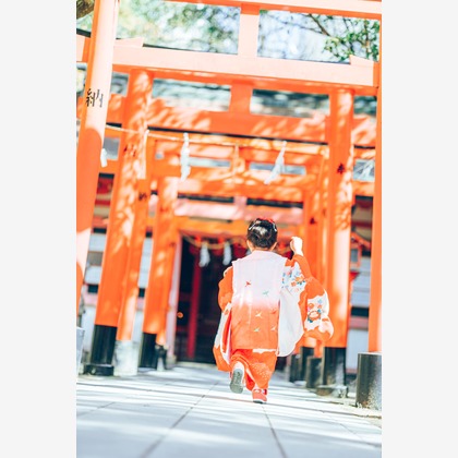 宮川　斉記が撮影した「:albumName」の写真