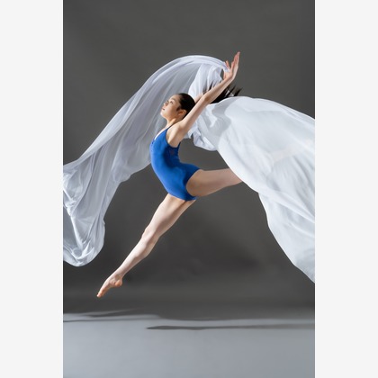 白田光孝が撮影した「:albumName」の写真