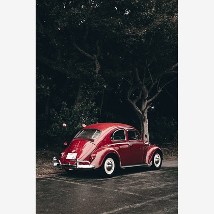 石井俊輔が撮影した「:albumName」の写真