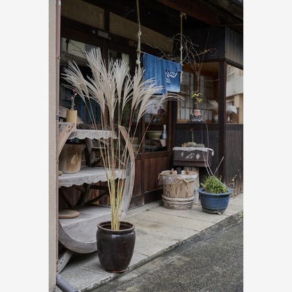 Ryo Manabeが撮影した「:albumName」の写真