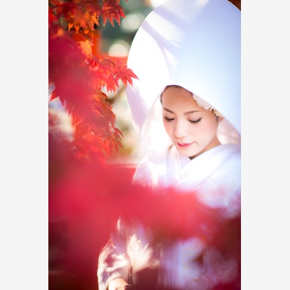 studio zeroが撮影したウェディングや家族、ビジネスの写真