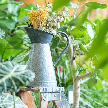 Yoppegraphy Photographic Serviceが撮影した「:albumName」の写真