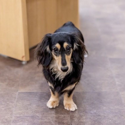 沖山俊樹が撮影した「:albumName」の写真