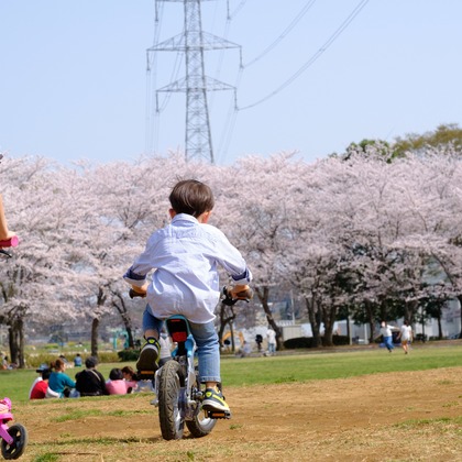 高野和希が撮影した家族写真の出張撮影の写真