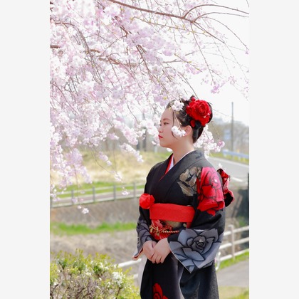 黒澤正彦が出張撮影した江の島シーキャンドル, キャンティカフェ, 水前寺成趣園などが写った「成人式前撮り撮影（群馬県高崎市　進雄神社　４月撮影）」の家族写真