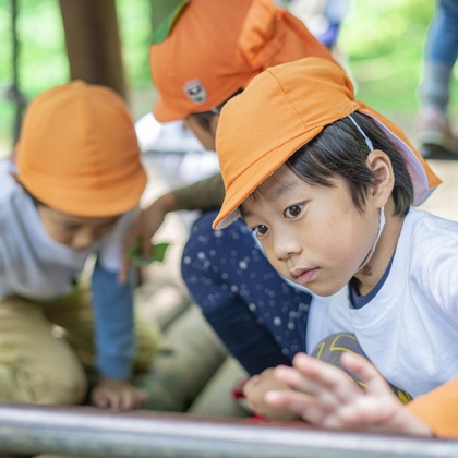 スタジオ11が撮影した「:albumName」の写真