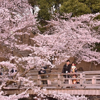 キキフォトワークスが撮影したウェディングや家族、ビジネスの写真