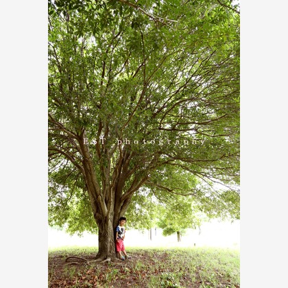 EST photographyが撮影した家族写真の出張撮影の写真