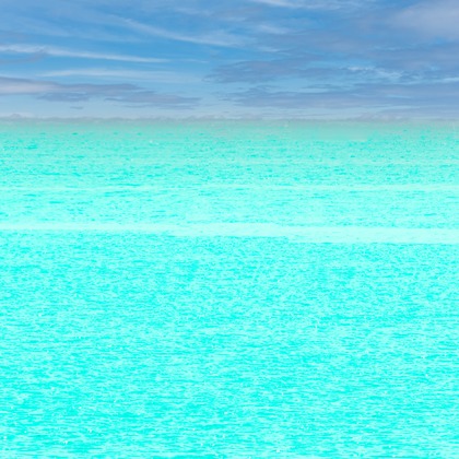 沖山俊樹が撮影したその他の写真