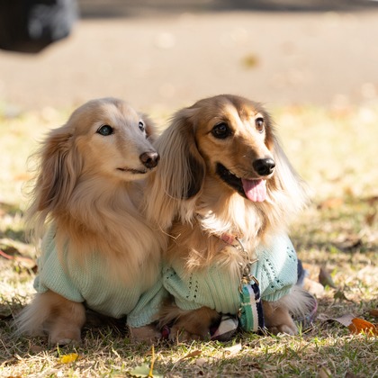 千葉が撮影した「:albumName」の写真